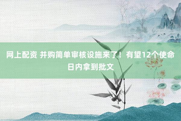 网上配资 并购简单审核设施来了！有望12个使命日内拿到批文